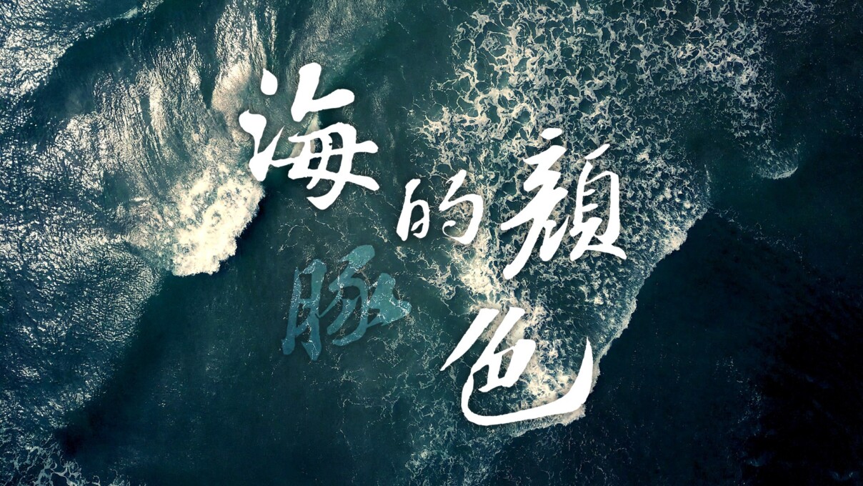 《海豚的顏色》臺灣白海豚生態片