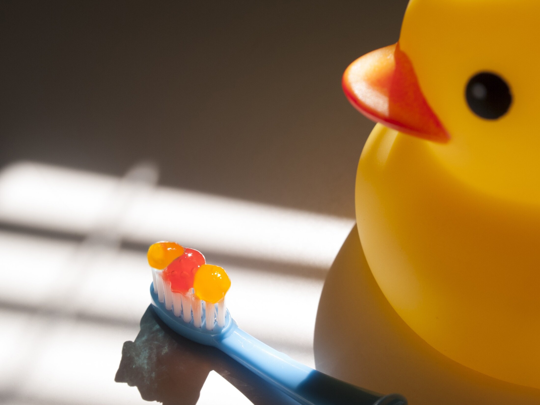 Banner image